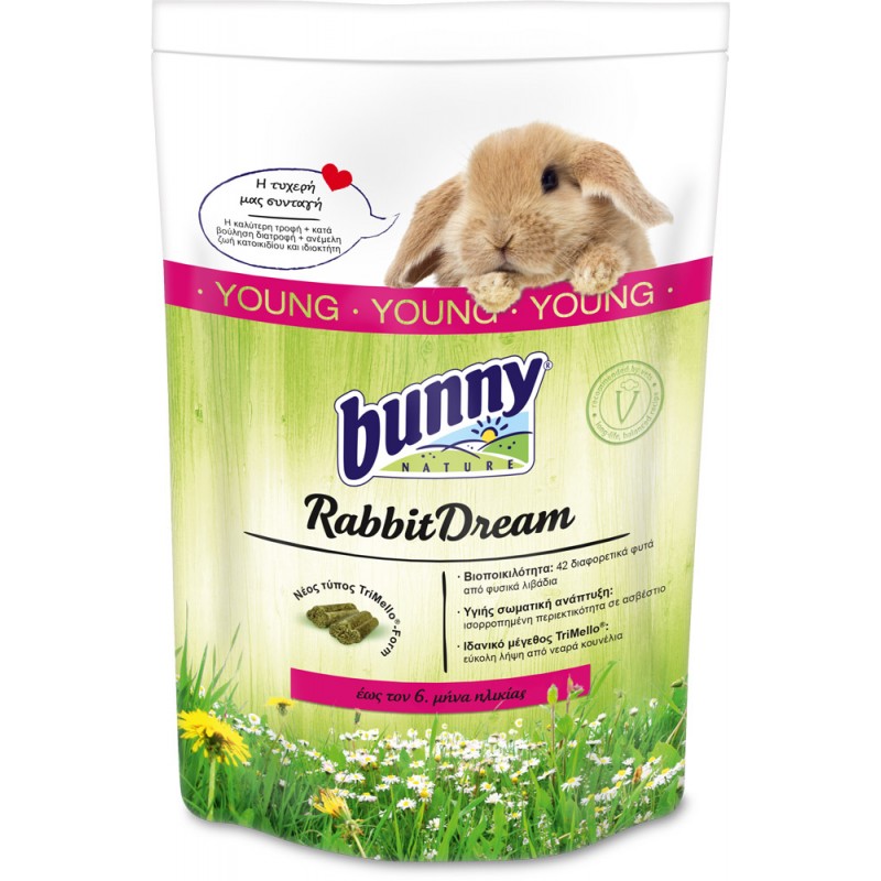 Bunny Rabbit Dream Young